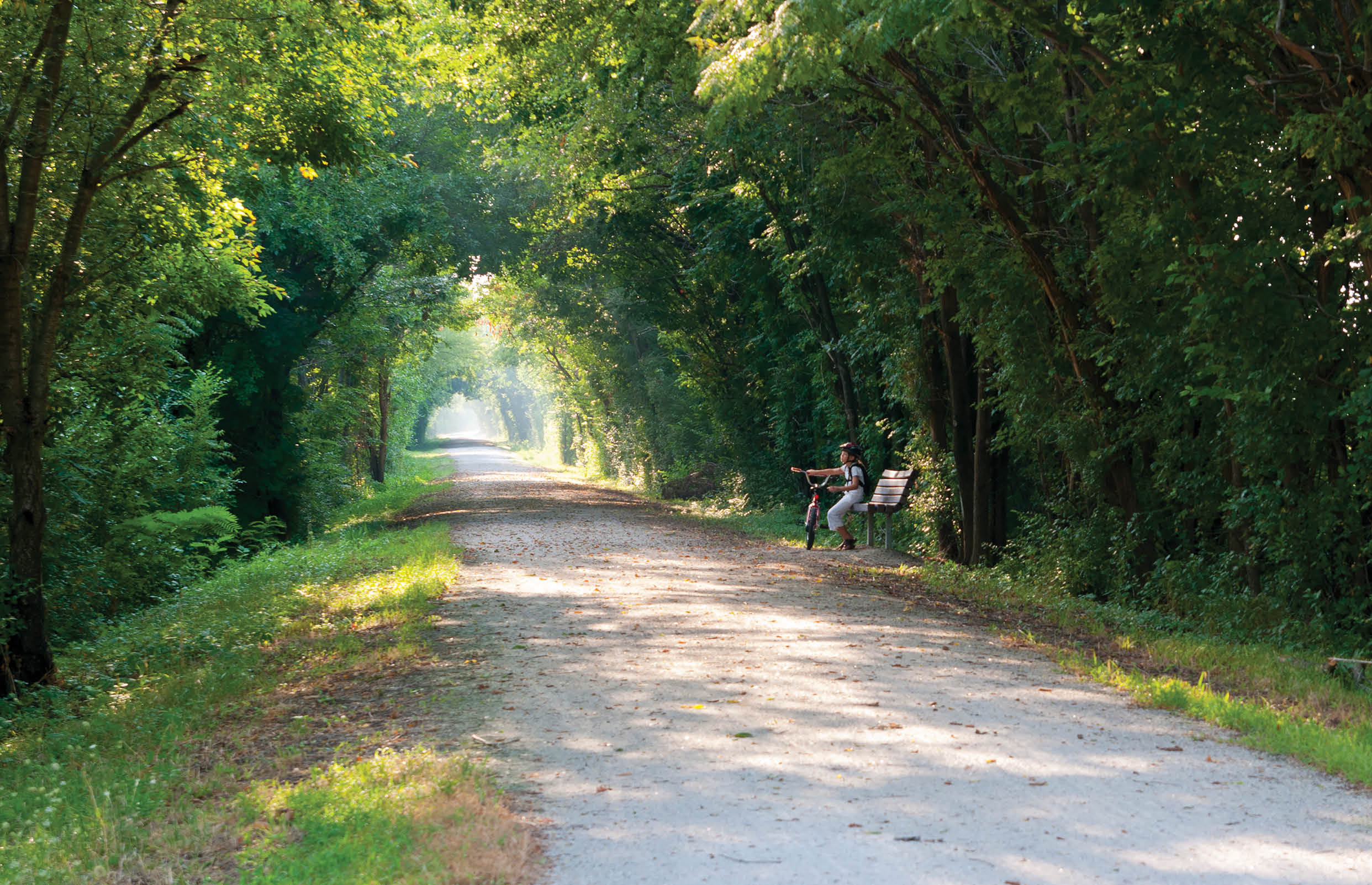 “View down a wide trail through a tunnel of trees with a shaft of sunlight in the distance. A child with a bicycle rests on a bench halfway down the trail. Katy Trail State Park, Missouri"