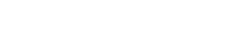 BUSINESSES OF THE