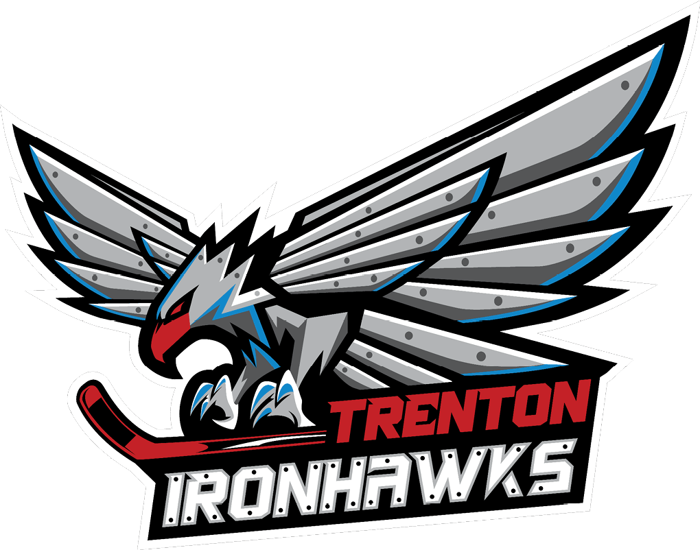 A logo for the hockey team the Iron Hawks. AI generated content