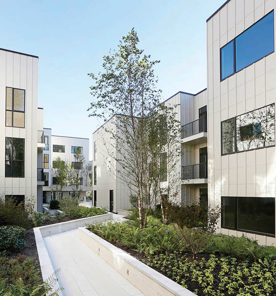 A row of white buildings with green bushes in front. Description generated by AI