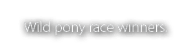 Wild pony race winners 