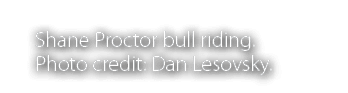 Shane Proctor bull riding  Photo credit: Dan Lesovsky  
