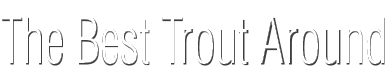 The Best Trout Around