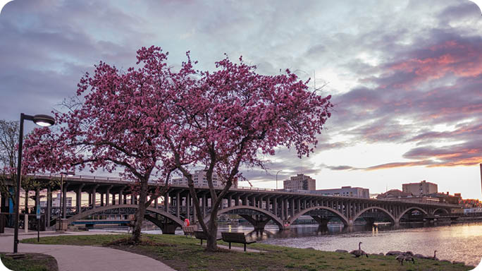 downtown Rockford spring scenery. Photo by Mindy Joy Photography.