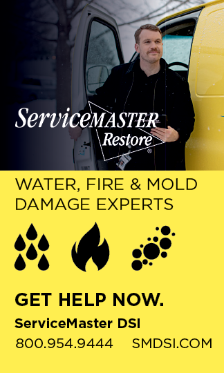 A 2.25 x 3.75 inch DSI ServiceMaster Restoration by DSI sign. AI generated content