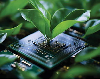 Plant growing from processor grow nature computer hardware ecology sustainable eco-friendly technology tech modern computer chip green leaves natural beauty leaf tree oxygen microchip electronics. High quality photo