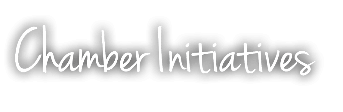 Chamber Initiatives 