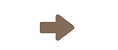 A brown arrow pointing to the right. Description generated by AI