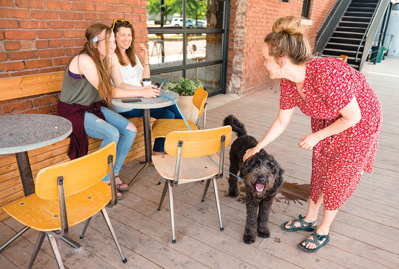 A woman is petting a black dog on a wooden floor. Two other women are sitting at a table nearby. AI generated content