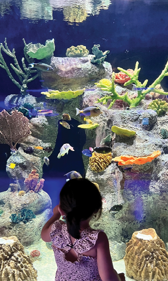 A little girl is looking at a tank of fish. Description generated by AI