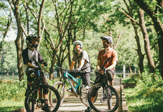 Three people on bicycles in a forest. AI generated content