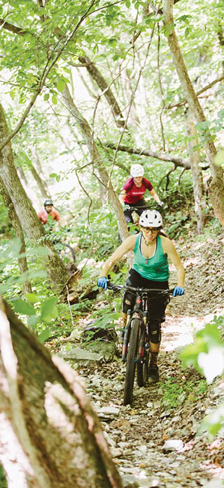 Three people are riding bikes through a wooded area. AI generated content