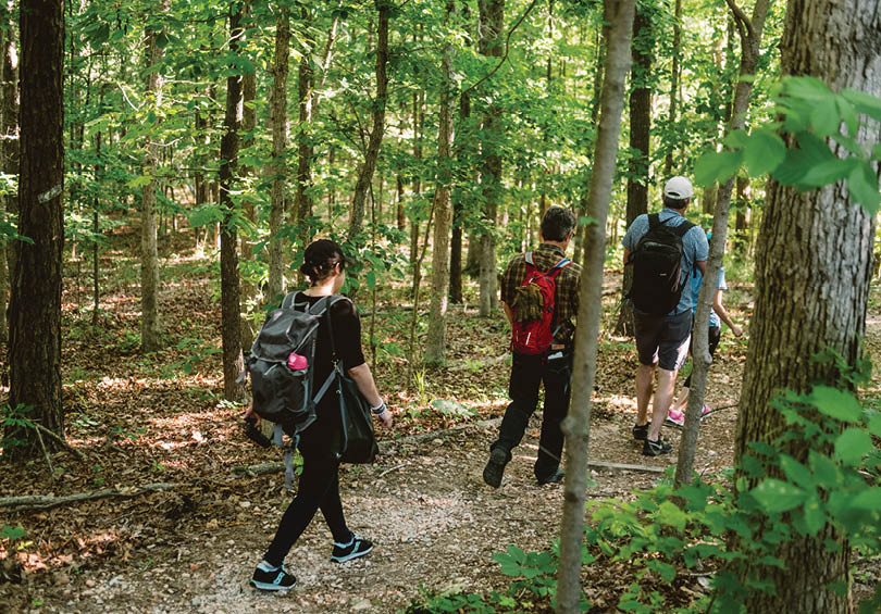 Three people walking in a wooded area, one of them wearing a backpack. AI generated content