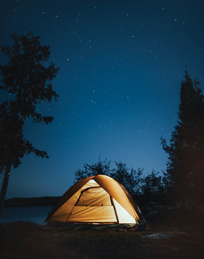 A tent is set up in a grassy area with a tree in the background. The sky is dark and the stars are visible, creating a peaceful atmosphere. AI generated content