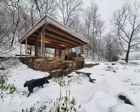 A black dog standing in the snow. Description generated by AI