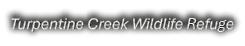 Turpentine Creek Wildlife Refuge