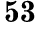 53