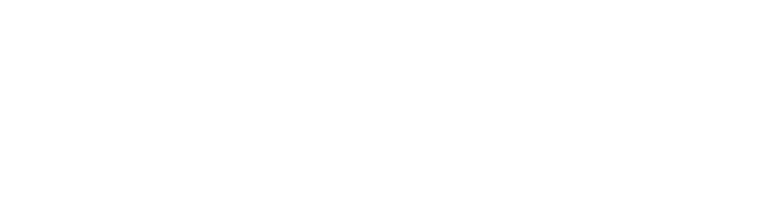 Salem’s Bounty