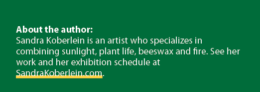 About the author: Sandra Koberlein is an artist who specializes in combining sunlight, plant life, beeswax and fire. ...