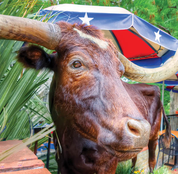A stuffed steer greets patrons at this colorful riverwalk cafe