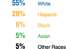  55% White 29% Hispanic 6% Black 5% Asian 5% Other Races
