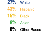  27% White 43% Hispanic 15% Black 9% Asian 6% Other Races