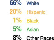  66% White 20% Hispanic 1% Black 5% Asian 8% Other Races