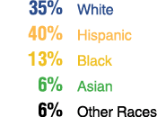  35% White 40% Hispanic 13% Black 6% Asian 6% Other Races