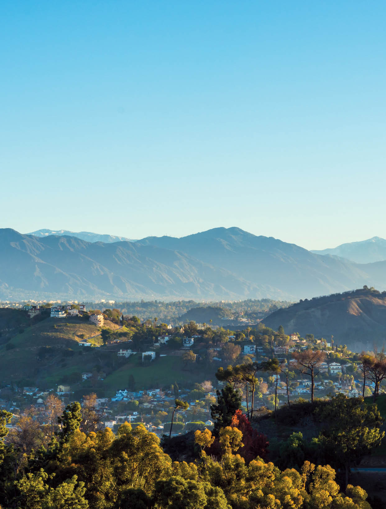 View of the San Gabriel Mountains from Elysian Park