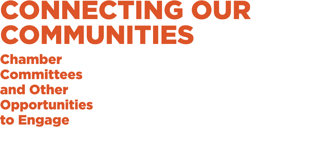 Connecting Our Communities Chamber Committees and Other Opportunities to Engage