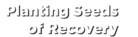 Planting Seeds of Recovery