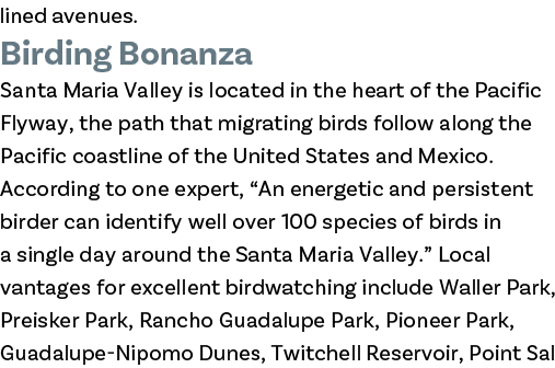 lined avenues. Birding Bonanza Santa Maria Valley is located in the heart of the Pacific Flyway, the path that migrat...