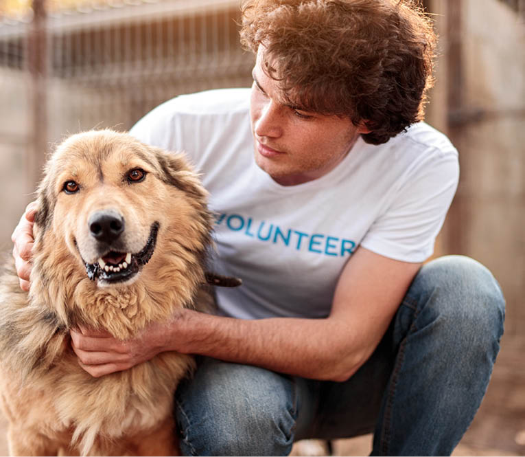 Responsible attentive young male volunteer caring adorable hairy dog while working in animal shelter