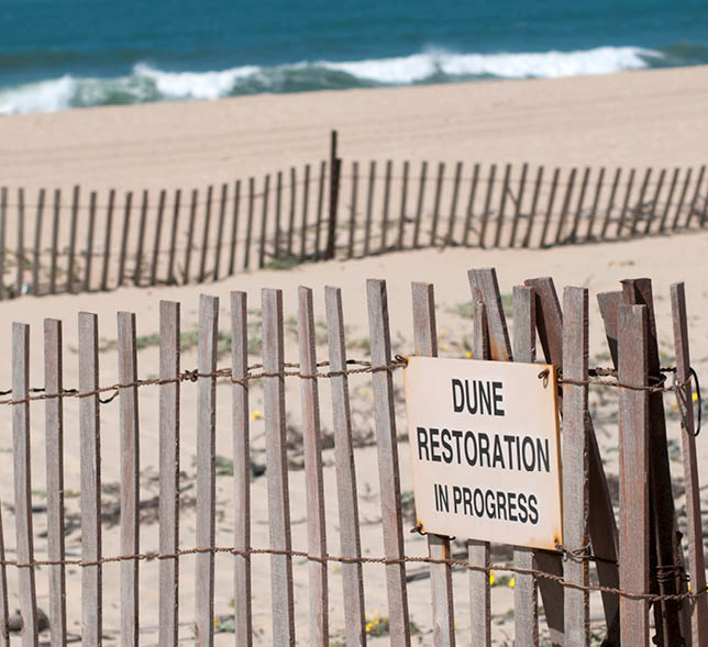 wooden fences and sign warn passerby of Dune restoration