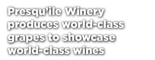 Presqu’ile Winery produces world class grapes to showcase world class wines