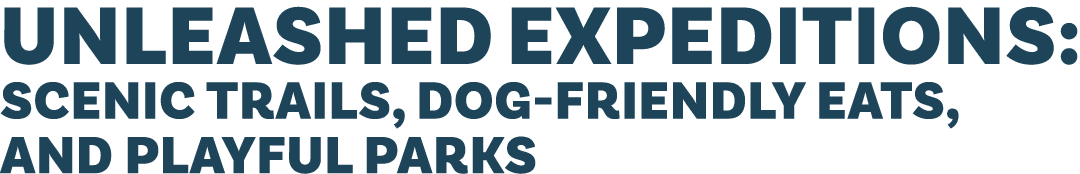 Unleashed Expeditions: Scenic Trails, Dog Friendly Eats, and Playful Parks