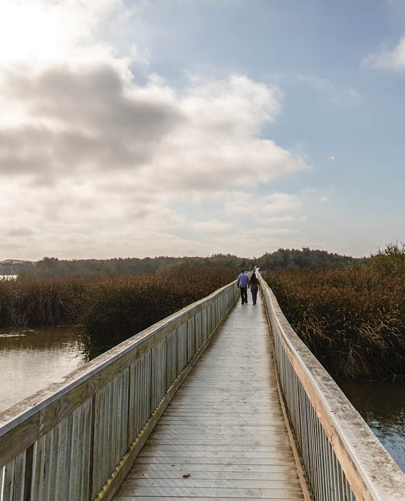 Images of the park and area around Oso Flaco Lake  State recreation area is located near Santa Maria in Nipomo, California 