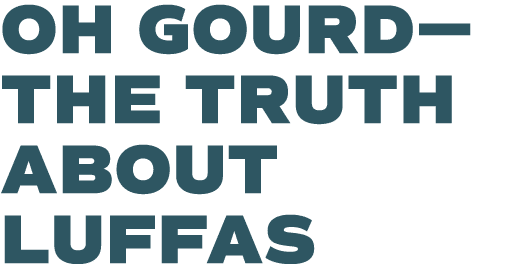 Oh gourd— the truth about luffas