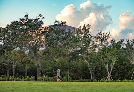 The Bay Park in Sarasota