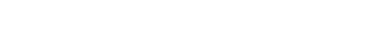 VILLAGE OF SchaumburG