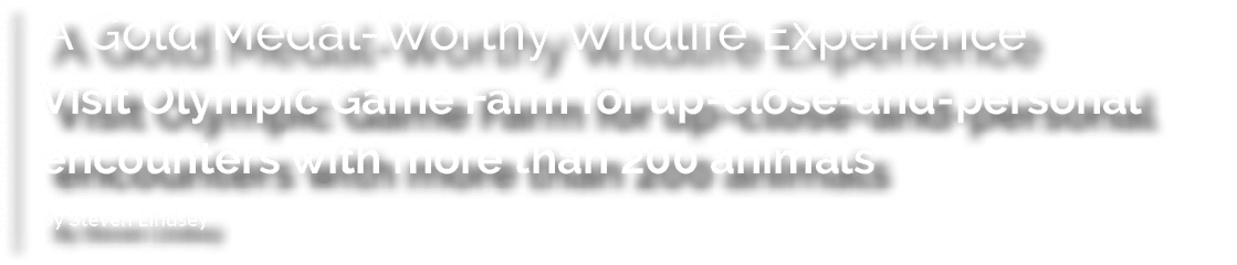 A Gold Medal Worthy Wildlife Experience Visit Olympic Game Farm for up close and personal encounters with more than 2...