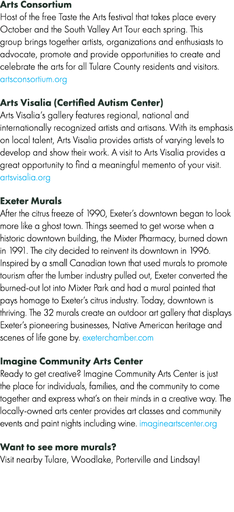 Arts Consortium Host of the free Taste the Arts festival that takes place every October and the South Valley Art Tour...