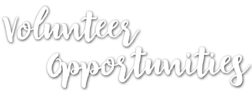 Volunteer Opportunities 