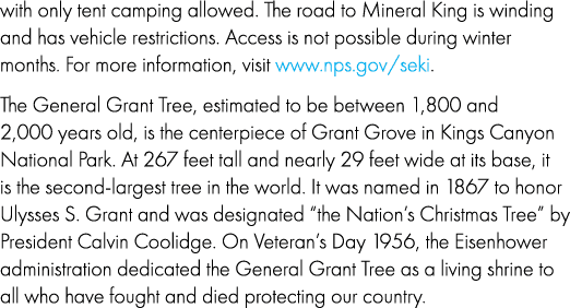 with only tent camping allowed. The road to Mineral King is winding and has vehicle restrictions. Access is not possi...