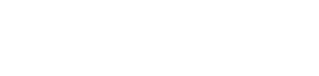 Visitors Enjoy a Variety of Colors and Activities Along the Blossom Trail