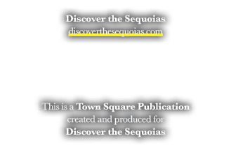 Discover the Sequoias discoverthesequoias.com This is a Town Square Publication created and produced for Discover the...