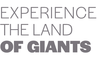 Experience the Land of Giants