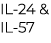 IL 24 & IL 57