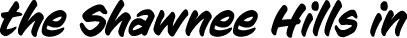 Polygon