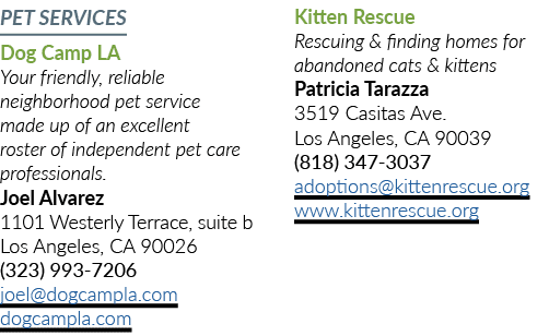 PET SERVICES Dog Camp LA Your friendly, reliable neighborhood pet service made up of an excellent roster of independe...